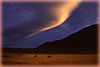 Cloud Lit Grasses, Mono Lake