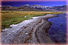 Color Swept Shores of Mono Lake