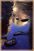 Canyon Reflected - Narrows, Zion, UT