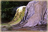 Canary Springs at Mammoth Hot Springs - Yellowstone, WY