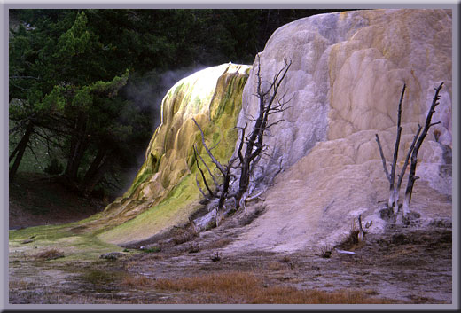 Canary Springs at Mammoth Hot Springs - Yellowstone, WY