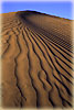 Rippled Dunes - Death Valley, CA