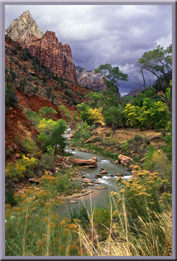 Virgin River and Court of the Patriarchs - Zion, UT