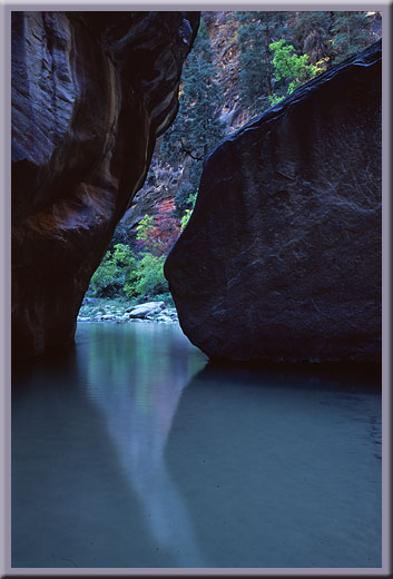 Narrows Reflected - Zion, UT