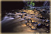 Gold Rush - Narrows, Zion, UT