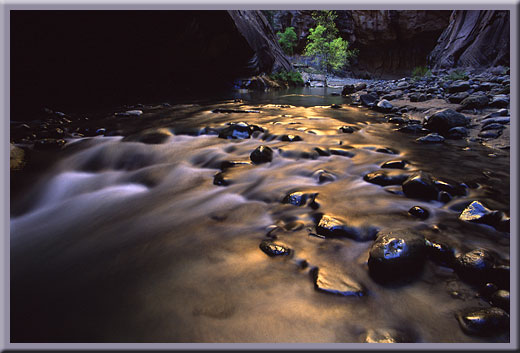 Gold Rush - Narrows, Zion, UT