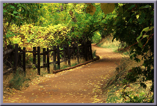 Fall Trail - Zion, UT