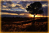 Autumn Sunset - Zion